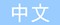 Chinese translation Chinese button